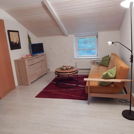 Ferienwohnung Schwemmer Пирна Экстерьер фото